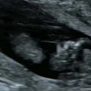 Meet your Posher, Lizette